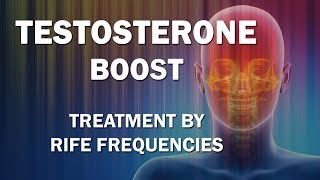 Testosterone Boost  RIFE Frequencies Treatment  Energy amp Quantum Medicine with Bioresonance [upl. by Aloysia]