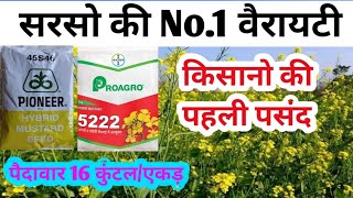 किसानों की सबसे ज्यादा पसंद की जाने वाली सरसो की टॉप 2 वैरायटी Pioneer 45S46 amp Bayer 5222sarson [upl. by Mayyahk]