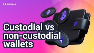 Custodial vs noncustodial selfcustodial crypto wallets and why it matters [upl. by Yssak]