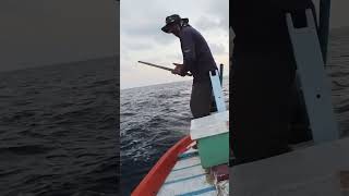 Handline Trolling trolling handlinefishing wahoo fisherman maldives [upl. by Whitford]