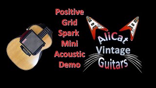 Positive Grid Spark Mini Acoustic Demo [upl. by Austreng]