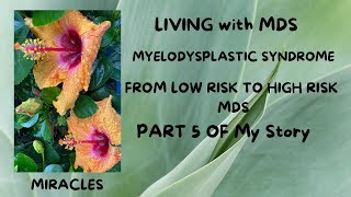 Living with MDS Myelodysplastic Syndrome Ann’s Story Part 5 New Diagnosis [upl. by Anaila]