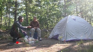 The search to find Swedens lagest butterflies Parnassius apollo and Limenitis populi in Småland [upl. by Krysta]