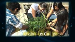 Licenciatura en Agroecología  UADY [upl. by Eanej]