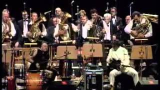 Goran Bregovic  Mesecina  LIVE [upl. by Frans]