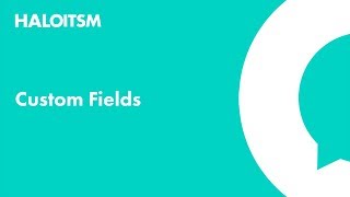 Custom Fields in HaloITSM [upl. by Lorianna]