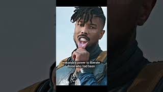 Killmonger The Revolutionary We Needed [upl. by Marlow]