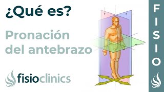 PRONACIÓN  Qué es qué parte del cuerpo realiza este movimiento  FisioClinics Palma [upl. by Shama]