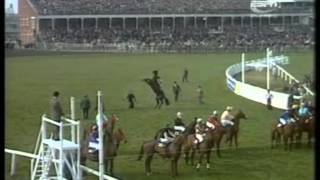 1974 Aintree Grand National Red Rum extended full race coverage [upl. by Villada]