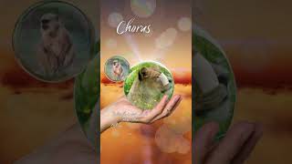 quotLet It Goquot Bridge amp Chorus – Calming Music with Cute Baby Animals shorts [upl. by Fisoi]