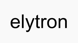 How to pronounce elytron [upl. by Aisela751]