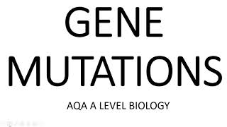 GENE MUTATIONS A2  AQA A LEVEL BIOLOGY  EXAM QUESTIONS RUN THROUGH [upl. by Vassily711]