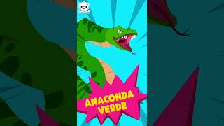 Animales Del Amazonas 🐬  Canciones de Animales  Canciones Infantiles  TOMTOMI en español shorts [upl. by Druci204]