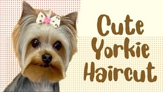 A cute YORKIE haircut FUN FUSION Freestyle inspired haircut for a Yorkshire Terrier [upl. by Areval]