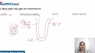 Water and salts reabsorbed [upl. by Engamrahc364]