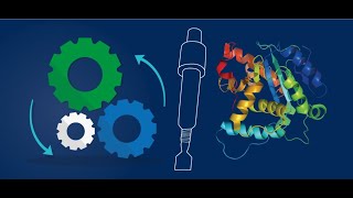 GST tag Affinity Chromatography A Technique for Outstanding Results from the Purification of Recombi [upl. by Lozano]