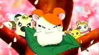 Hamtaro ham hams animated [upl. by Whang]