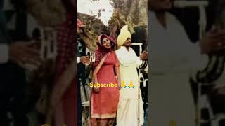 Ari Ari mp3 song download by Various in album Punjabi Party The song Ari  Chamkilaamp amarjyot [upl. by Eiryk]