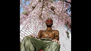 JPEGMAFIA Type Beat quot4321quot [upl. by Mitzie]