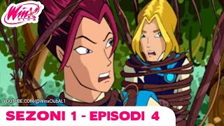 Winx club shqipSezoni 1 episodi 4 [upl. by Sirromal126]