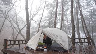 224 Fall for the charm of of backpacking camping  Solo camping on a rainy day [upl. by Rahs]