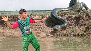 Anaconda Snake in Road  Anaconda attack in Amazon  Fun made Video anaconda [upl. by Sunny]