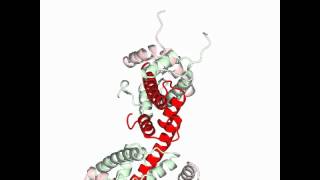 Nucleosome core particle [upl. by Elleunamme]