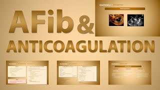 Anticoagulation in Atrial Fibrillation  3 Situations for Anticoagulation in AF amp its Principles [upl. by Alisen352]