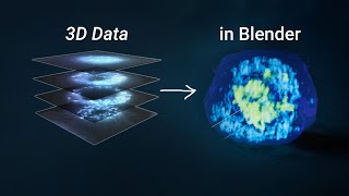 3D Images confocal  MRI VSEM to Volume Object in Blender [upl. by Oidacra]