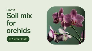 How to mix orchid soil [upl. by Doak]