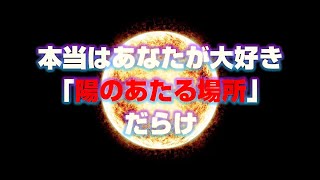 本当はあなたが大好き「陽のあたる場所」だらけ [upl. by Peggi]