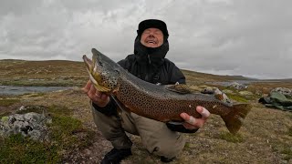 Fluefiske på Hardangervidda 2024 [upl. by Boniface]