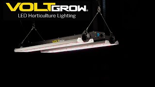 Volt Grow VL1 LED grow light PAR test and review [upl. by Bruno]