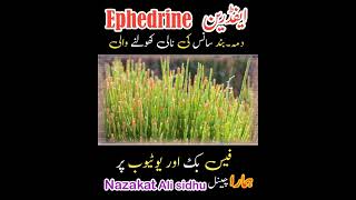 Ephedrine ephedra medicine treatment therapy [upl. by Legim]