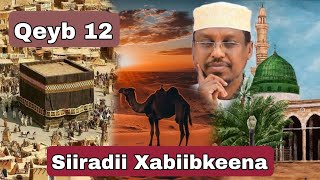 Siirada Xabiibkeena Muxammad ﷺ  Qeybta 12  Sh Mustafe Xaaji Ismaaciil [upl. by Keslie]