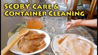 SCOBY Care amp Container Cleaning [upl. by Ahsinad]