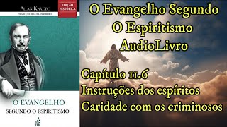 Caridade com os criminosos  Capítulo 116  Evangelho Segundo o EspiritismoAudiobook [upl. by Adelric101]