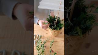 Ikea Hack alternativer Weihnachtsbaum aus SCHOTTIS Rollo christmas holidayswithyoutube [upl. by Cutter69]