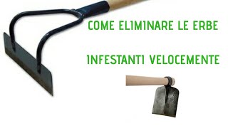 Come eliminare le erbe infestanti velocemente [upl. by Link]