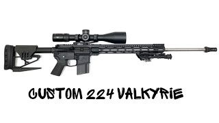 224 Valkyrie Build  Precision 224 Valkyrie AR Platform [upl. by Ahseiyn330]