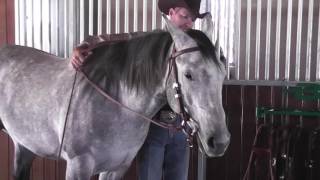 Function of a Bridle with a Snaffle Bit [upl. by Deeraf]