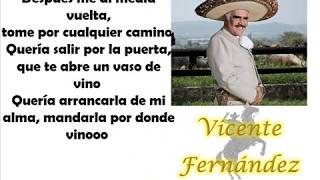 Vicente Fernandez  Miraron llorar a un hombre [upl. by Sucramal518]