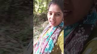 Pend paudhe aur chidiya👌👌👌👌👌 viral sort video [upl. by Atinob]