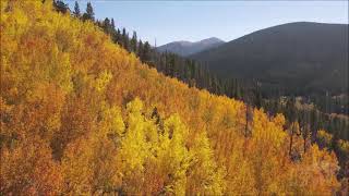 09262021 Breckenridge CO Epic Aspen Fall Colors in Colorado [upl. by Weismann]