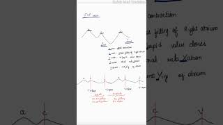 JVP waveform  Jugular Venous pressure wave  physiology revision medical neetpg cardiology [upl. by Ayahsal]