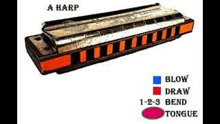 Tongue Blocking Riff 1  Blues Harp  Beginning level [upl. by Assillam]