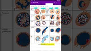 plasmodium  parasitology  microbiology [upl. by Seedman]