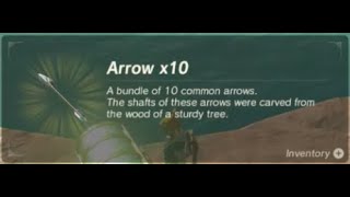 Arrow  Early Farming Location  Zelda BOTW [upl. by Nohtan478]