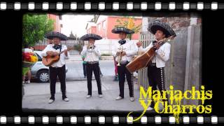 MARIACHIS A DOMICILIO  MARIACHIS Y CHARROS CALICANTO  CUMPLEAÑOS FELIZ [upl. by Namrehs]