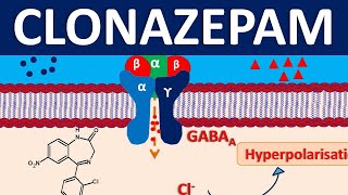 Clonazepam  Mechanism precautions side effects amp uses [upl. by Ardnad883]